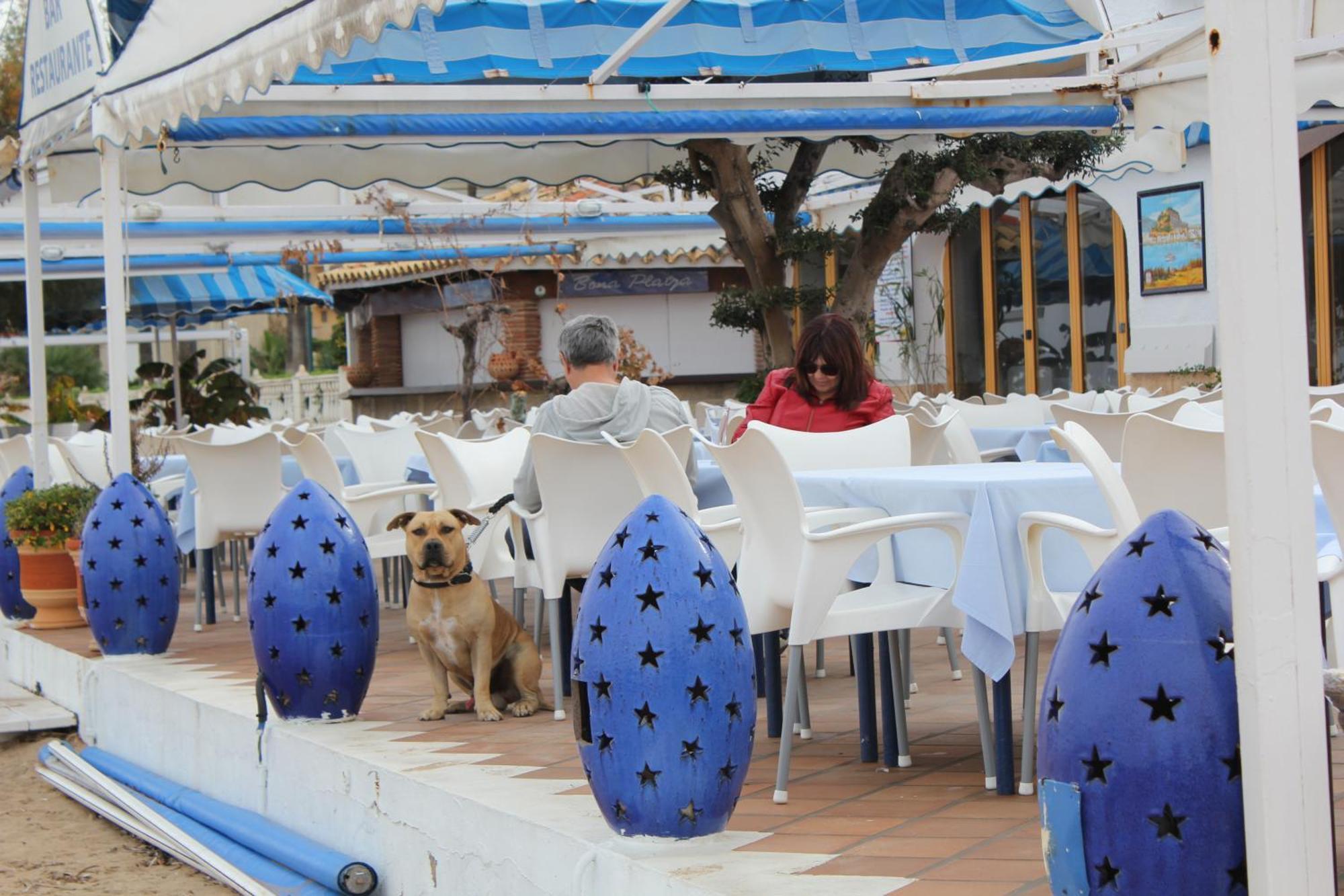 Apartamento Trompeta Azul Dénia Exterior foto